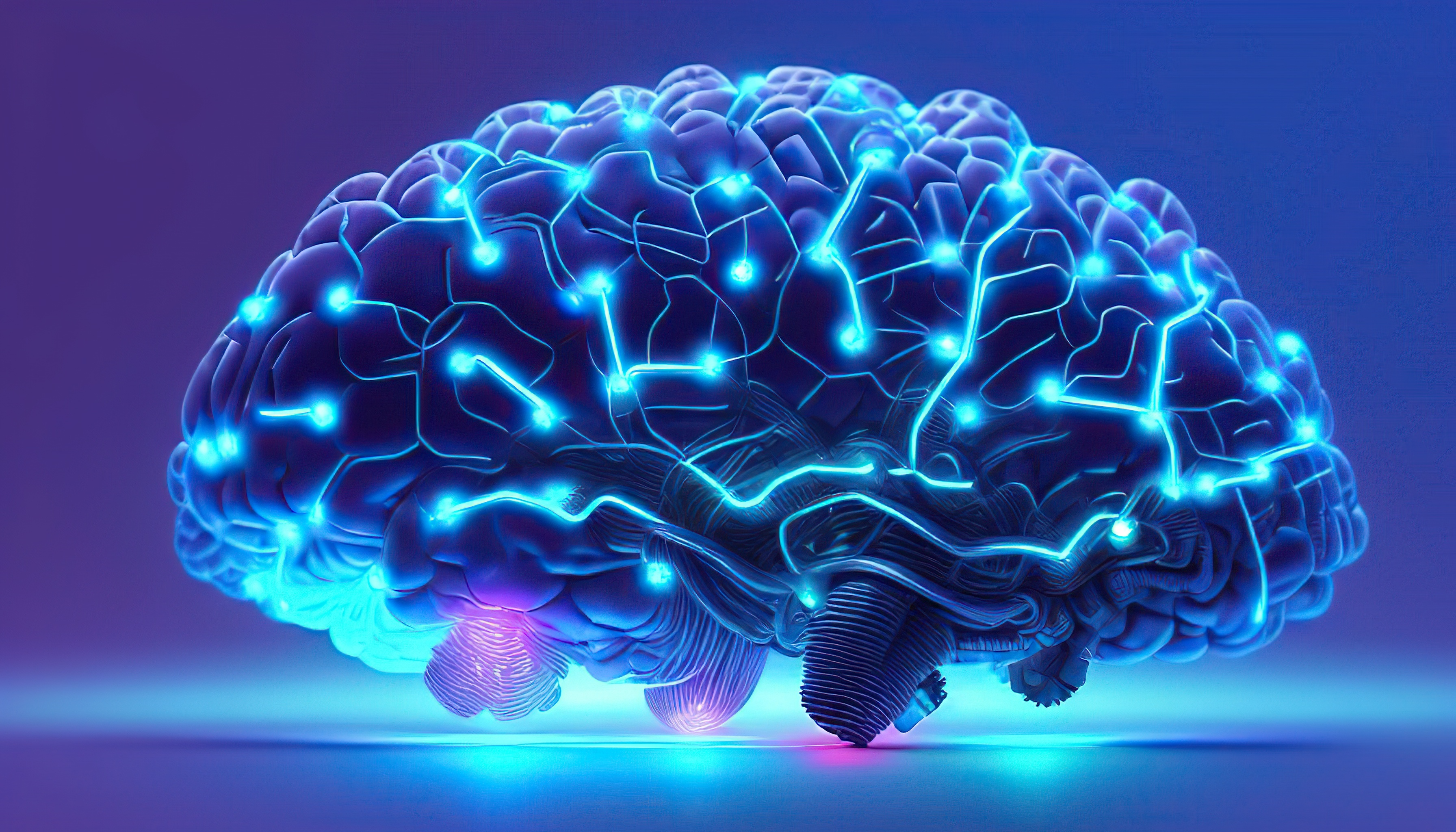 Image de la formation