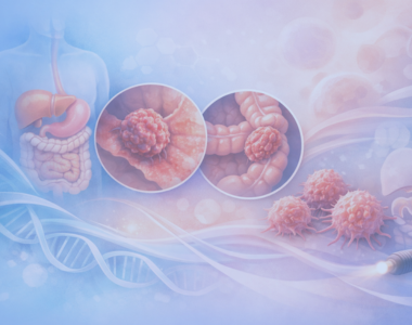 Image de la formation